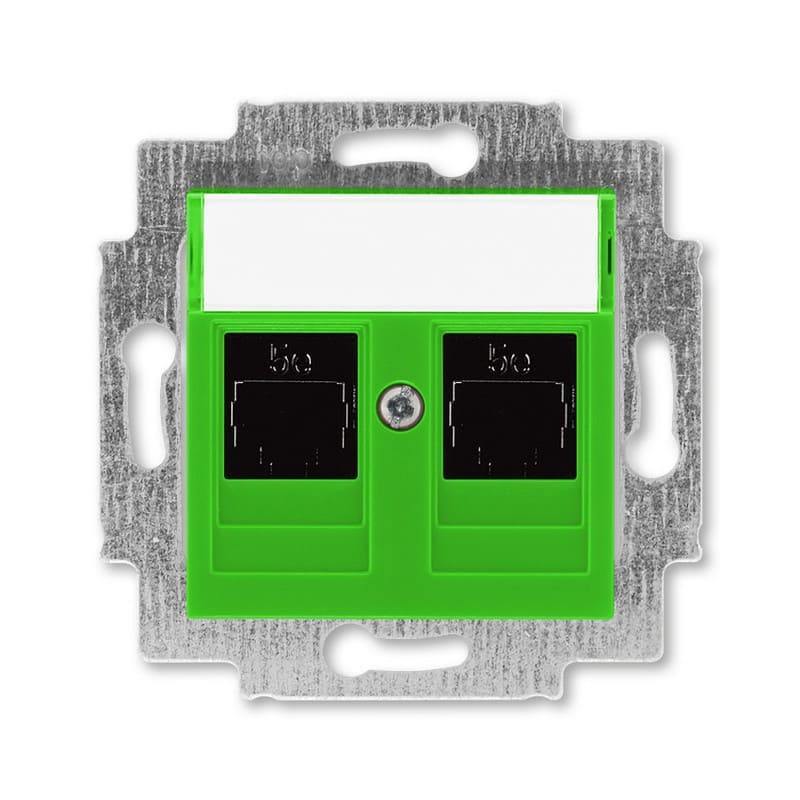 Дизайнерская розетка компьютерная 2хRJ-45 кат. 5е, зеленый, 2CHH295118A6067 ABB, серия Levit