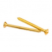 Саморезы для выключателей, изоляторов (40 шт.) латунь GE30002-30 ТМ МезонинЪ