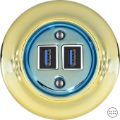 Ретро розетка USB лимонный металлик PELUGsUSBb Katy Paty