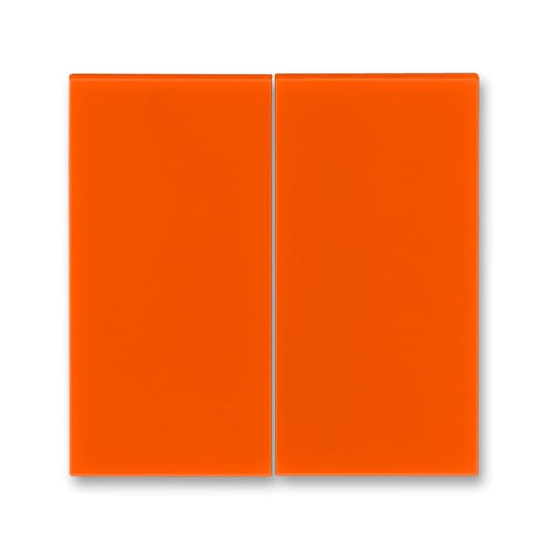 Двойная клавиша выключателя, оранжевый, 2CHH594470A8066 ABB, серия Levit