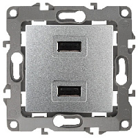 Дизайнерская розетка USB двойная, алюминий, Б0027493 Эра, серия 12