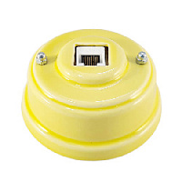 Розетка компьютерная RJ 45 (cat.6), желтый, серебристая фурнитура, РК6ЖС ЛЕАНЗА