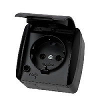 Дизайнерская розетка с крышкой, с заземлением IP54, графит, SQ1818-0313 TDM ELECTRIC, серия Селигер