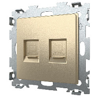 Дизайнерская розетка двойная компьютерная RJ-45 кат. 5e, шампань, GL-W201C2-BGG CGSS, серия Эстетика