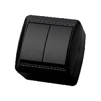 Дизайнерский выключатель IP44, графит, SQ1818-0312 TDM ELECTRIC, двухклавишный проходной, серия Селигер