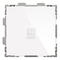 Дизайнерская розетка компьютерная RJ-45 кат. 5e, белый, PL-W201C-WCG CGSS, серия Практика