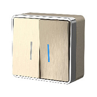 Дизайнерский выключатель с подсветкой, шампань рифленый, W5020110 Werkel, двухклавишный, серия Gallant