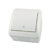 Дизайнерский выключатель IP44, белый, SQ1818-0011 TDM ELECTRIC, одноклавишный проходной, серия Селигер