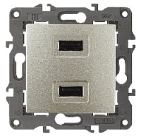 Дизайнерская розетка USB двойная, шампань, Б0034371 Эра, серия Elegance