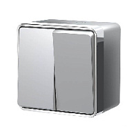 Дизайнерский выключатель влагозащищенный, серебро, W5020206 Werkel, двухклавишный, серия Gallant