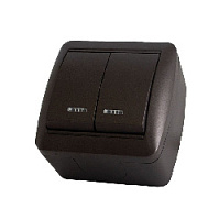 Дизайнерский выключатель IP44 с подсветкой, шоколад, SQ1818-0204 TDM ELECTRIC, двухклавишный, серия Селигер