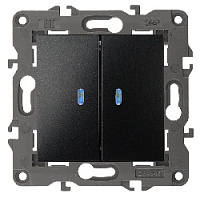 Дизайнерский выключатель с подсветкой, антрацит, Б0034241 Эра, двухклавишный, серия Elegance