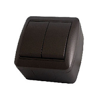 Дизайнерский выключатель IP44, шоколад, SQ1818-0202 TDM ELECTRIC, двухклавишный, серия Селигер