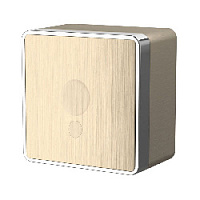 Вывод кабеля, шампань рифленый, W5050210 Werkel, серия Gallant