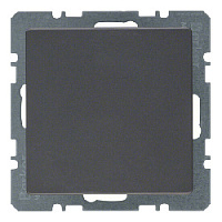 Заглушка с центральной панелью, антрацитовый, бархатный лак, 10096086 Berker, серии Q.1/Q.3/Q.7