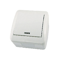 Дизайнерский выключатель IP44 с подсветкой, белый, SQ1818-0003 TDM ELECTRIC, одноклавишный, серия Селигер