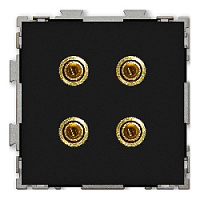 Дизайнерская розетка аудио Hi-End, черный, PL-W201A-BCM CGSS, серия Практика