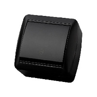 Дизайнерский выключатель IP44, графит, SQ1818-0311 TDM ELECTRIC, одноклавишный проходной, серия Селигер