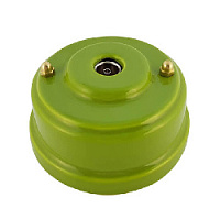 Розетка телевизионная, фисташковый, золотистая фурнитура, РТОФЗ ЛЕАНЗА