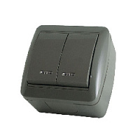 Дизайнерский выключатель IP44 с подсветкой, серый, SQ1818-0104 TDM ELECTRIC, двухклавишный, серия Селигер