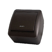 Дизайнерский выключатель IP44 с подсветкой, шоколад, SQ1818-0203 TDM ELECTRIC, одноклавишный, серия Селигер