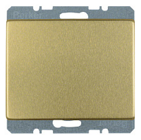 Заглушка с центральной панелью, золотой, матовый, 10440002 Berker, серия Arsys