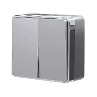 Дизайнерский выключатель, серебро, W5020006 Werkel, двухклавишный, серия Gallant