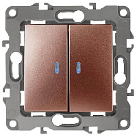 Дизайнерский выключатель с подсветкой, медь, Б0019293 Эра, двухклавишный, серия 12