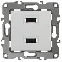 Дизайнерская розетка USB двойная, белый, Б0027491 Эра, серия 12