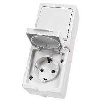 Дизайнерский выключатель одноклавишный + розетка с заземлением, шторками и с крышкой IP54, белый, SQ1803-1011 TDM ELECTRIC, вертикальный блок, серия Вуокса