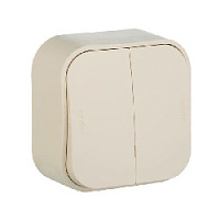 Дизайнерский выключатель, слоновая кость, 782232 Legrand, двухклавишный, серия Quteo