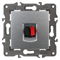 Дизайнерская аудио розетка, алюминий, Б0034322 Эра, серия Elegance