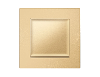 Дизайнерская рамка из термопластика 1 местная, шампань, AF220601 Ambrella Volt