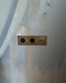 Металлические розетки и выключатель, торговая марка T&J Electric