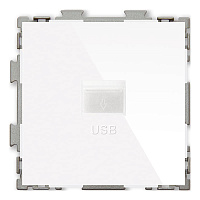Дизайнерская розетка USB 2.1А, белый, PL-W201U-WCG CGSS, серия Практика