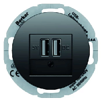 Розетка USB двойная, для зарядки, 1,4 А, вставка антрацит , черный глянцевый, 10382045 + 260205 Berker