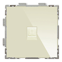 Дизайнерская розетка компьютерная RJ-45 кат. 5e, бежевый, PL-W201C-BGG CGSS, серия Практика