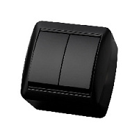 Дизайнерский выключатель IP44, графит, SQ1818-0302 TDM ELECTRIC, двухклавишный, серия Селигер