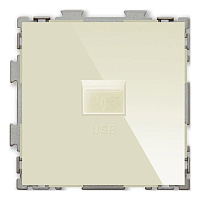Дизайнерская розетка USB 2.1А, бежевый, PL-W201U-BGG CGSS, серия Практика