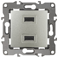 Дизайнерская розетка USB двойная, перламутр, Б0027500 Эра, серия 12