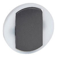 Клавиша выключателя с контурной подсветкой, графит, 065204 Legrand, серия Celiane