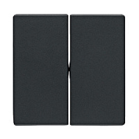 Двойная клавиша выключателя, антрацитовый, бархатный лак, 16236086 Berker, серии Q.1/Q.3/Q.7