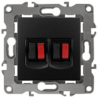 Дизайнерская аудио розетка двойная, антрацит, Б0027465 Эра, серия 12