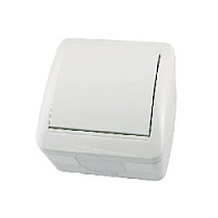 Дизайнерский выключатель IP44, белый, SQ1818-0001 TDM ELECTRIC, одноклавишный, серия Селигер