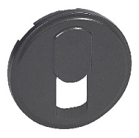 Накладка для розетки RJ-11, графит, 067937 Legrand, серия Celiane