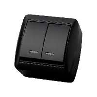 Дизайнерский выключатель IP44 с подсветкой, графит, SQ1818-0304 TDM ELECTRIC, двухклавишный, серия Селигер