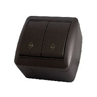 Дизайнерский выключатель IP44, шоколад, SQ1818-0212 TDM ELECTRIC, двухклавишный проходной, серия Селигер