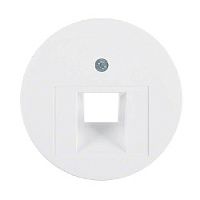 Центральная панель розетки UAE, полярная белизна, глянцевый, 14072089 Berker, серии R.1/R.3