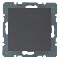 Заглушка с центральной панелью, антрацитовый, матовый, 10091606 Berker, серии S.1/B.3/B.7