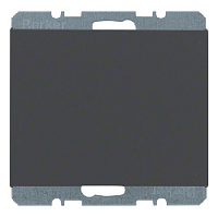 Заглушка с центральной панелью, антрацитовый, матовый, 10457006 Berker, серия K.1